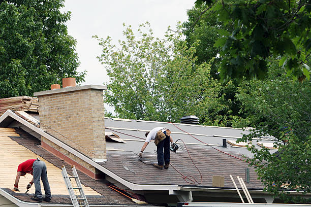 Best Roof Gutter Cleaning  in Gratton, VA