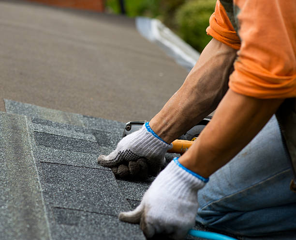 Best Roof Gutter Cleaning  in Gratton, VA